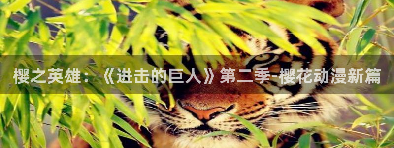 行业资讯